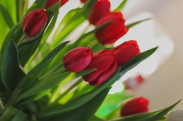 B&b The Street Lodge