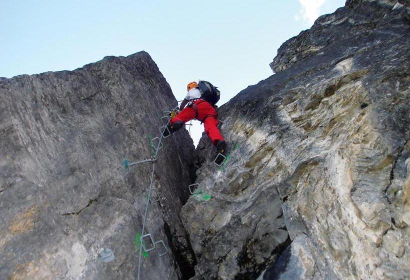 مبيت وإفطار Alpengasthof Enzianhof