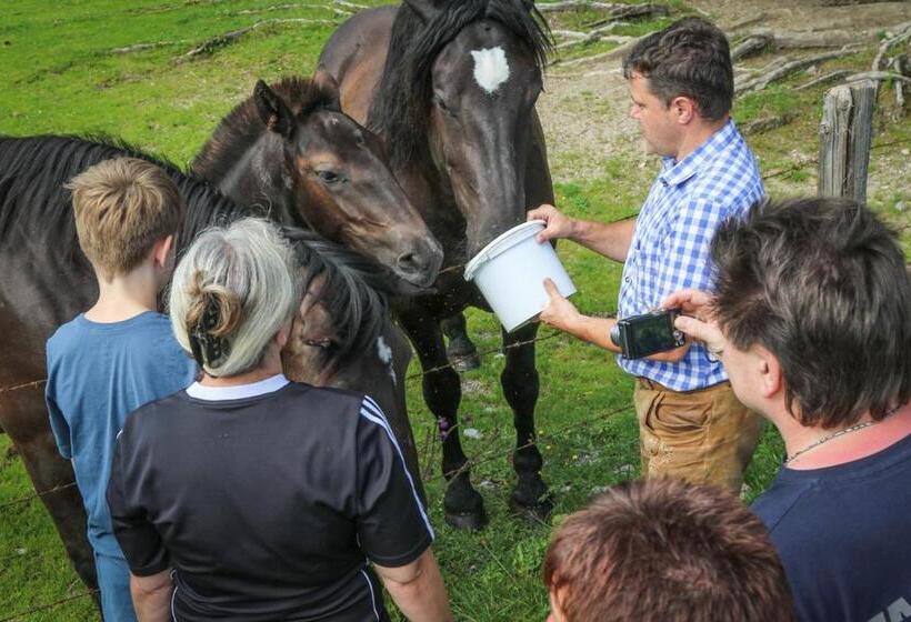Berghotel Lämmerhof