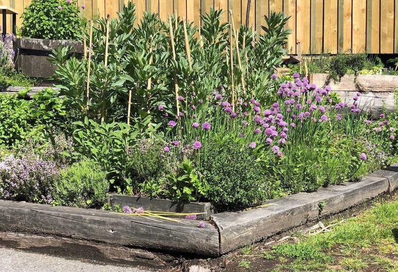 Blue Peaks Apartments