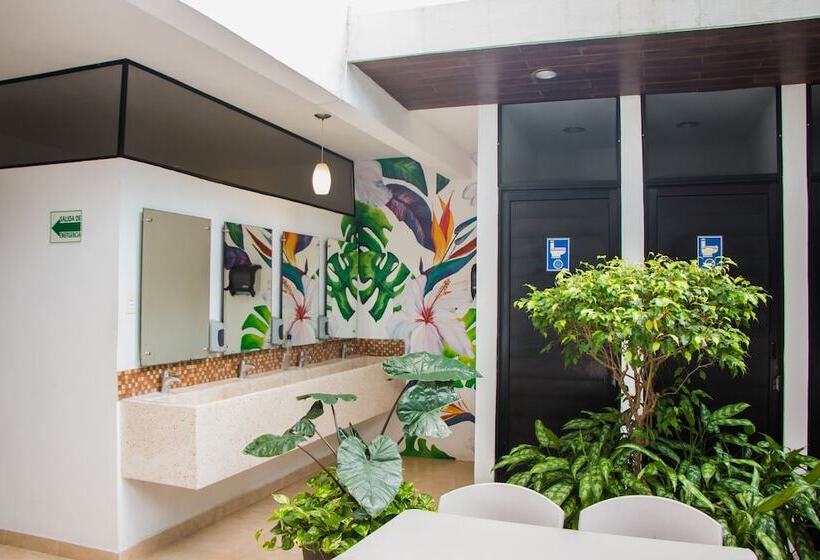 Hostal Gayser Hostel