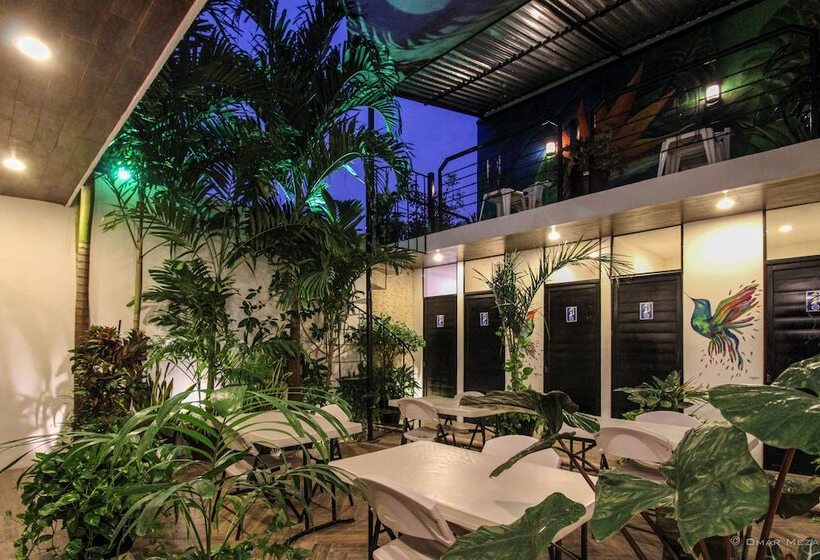 Hostal Gayser Hostel