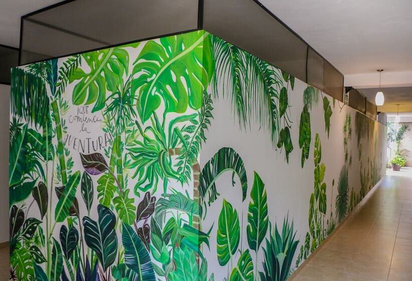 Hostal Gayser Hostel