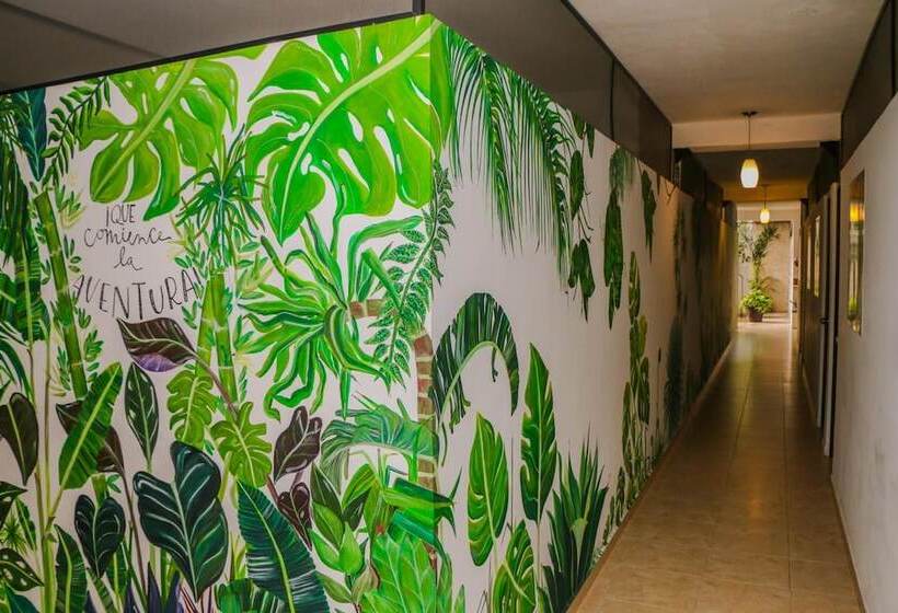 Hostal Gayser Hostel