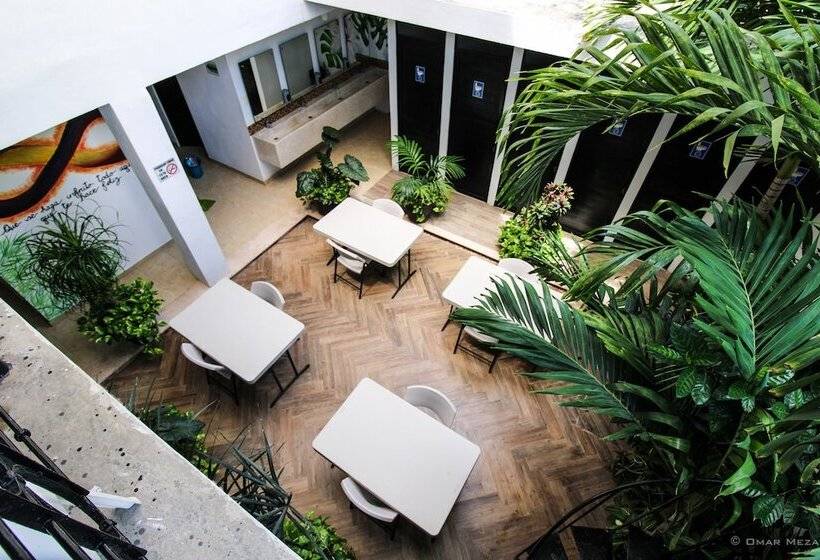 Hostal Gayser Hostel