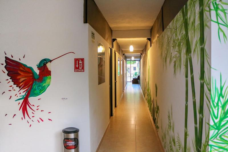 Hostal Gayser Hostel