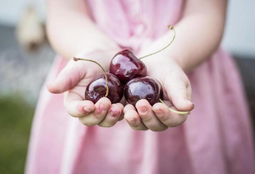 فندق Alpenschlössl