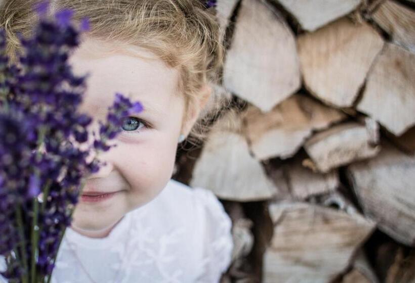 فندق Alpenschlössl