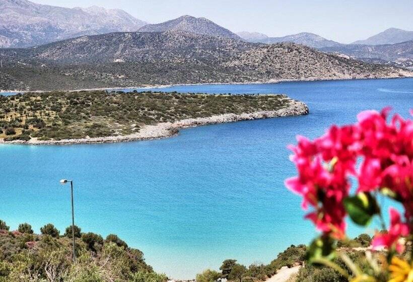 Anemone Seaside Traditional Homes