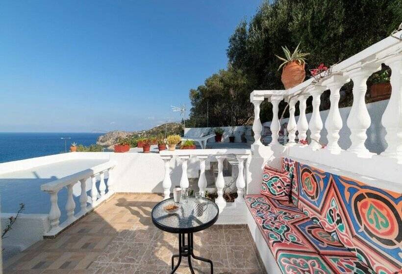 Anemone Seaside Traditional Homes