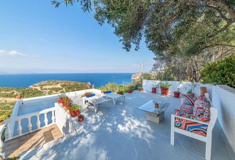 Anemone Seaside Traditional Homes