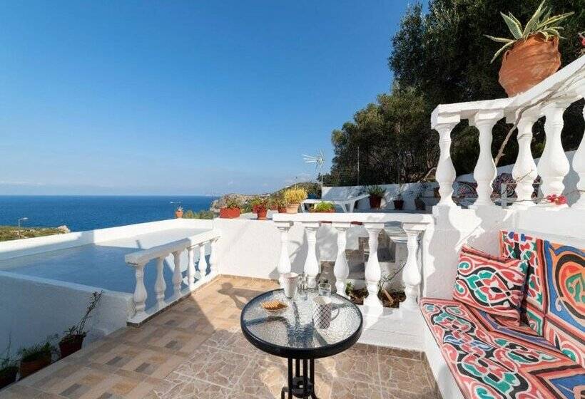 Anemone Seaside Traditional Homes