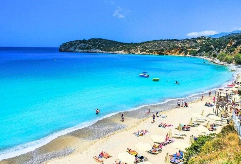 Anemone Seaside Traditional Homes