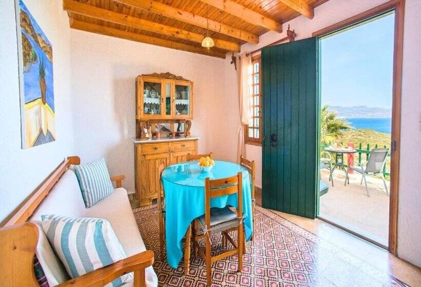 Anemone Seaside Traditional Homes