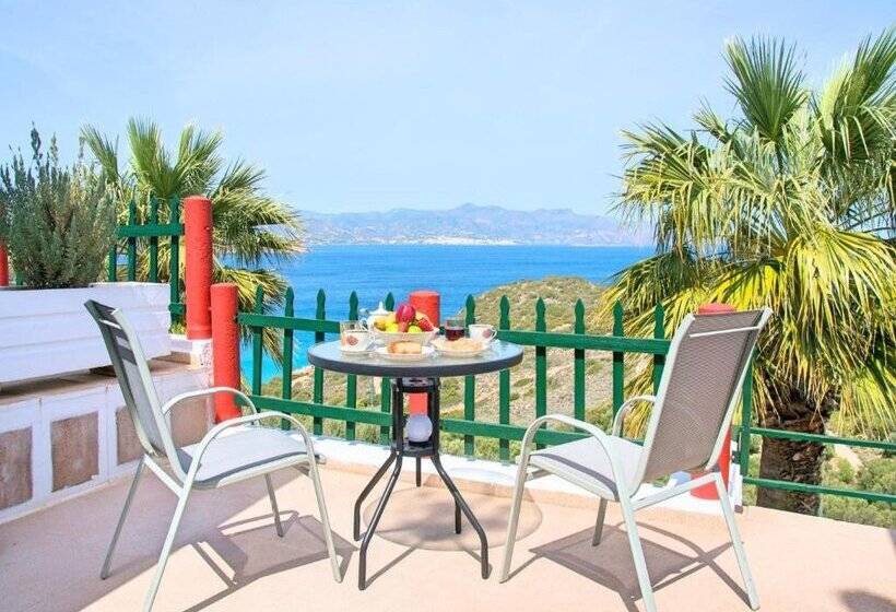 Anemone Seaside Traditional Homes