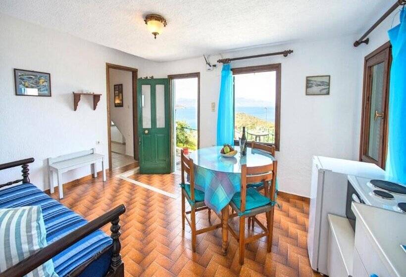 Anemone Seaside Traditional Homes