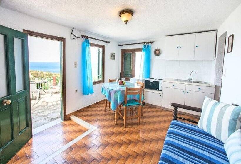 Anemone Seaside Traditional Homes