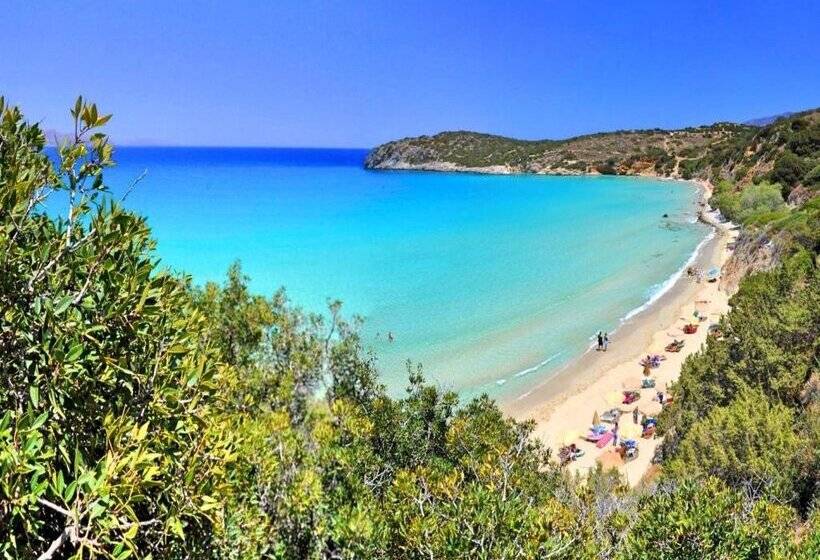 Anemone Seaside Traditional Homes