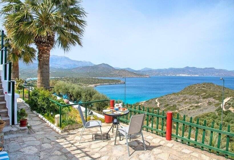 Anemone Seaside Traditional Homes