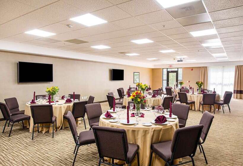 فندق Comfort Suites Greenville South