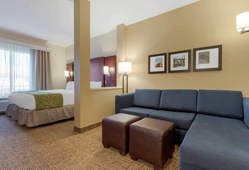 فندق Comfort Suites Greenville South