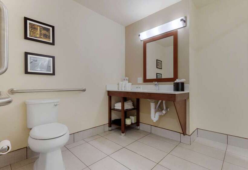 فندق Comfort Suites Greenville South