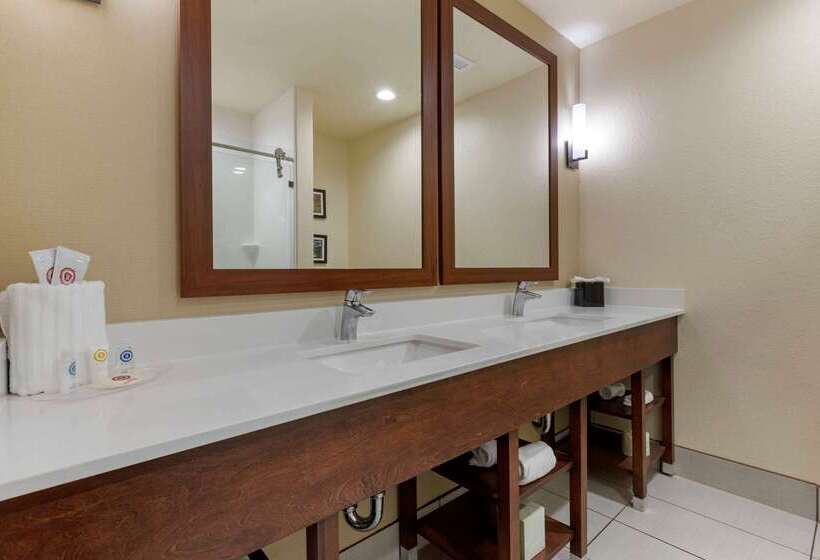 בית מלון כפרי Comfort Suites Greenville South