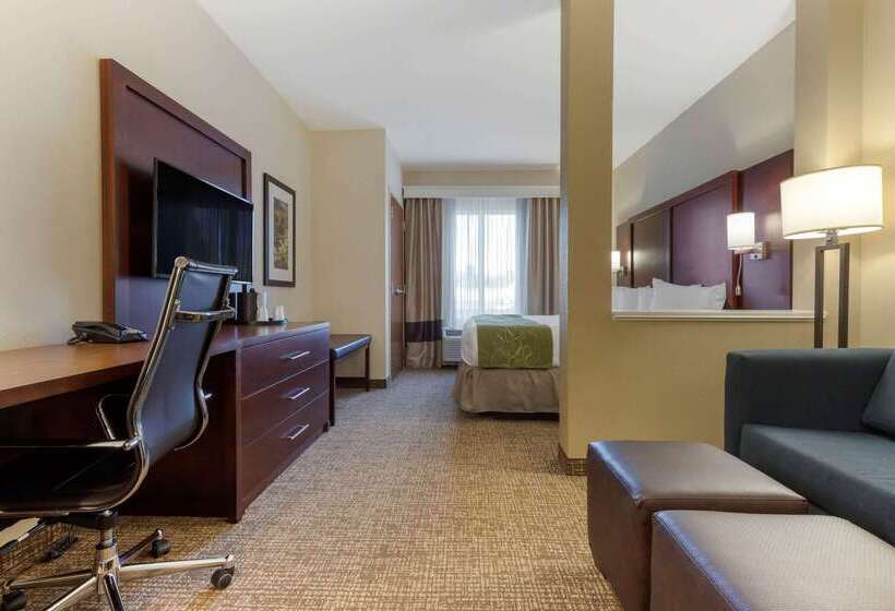 فندق Comfort Suites Greenville South