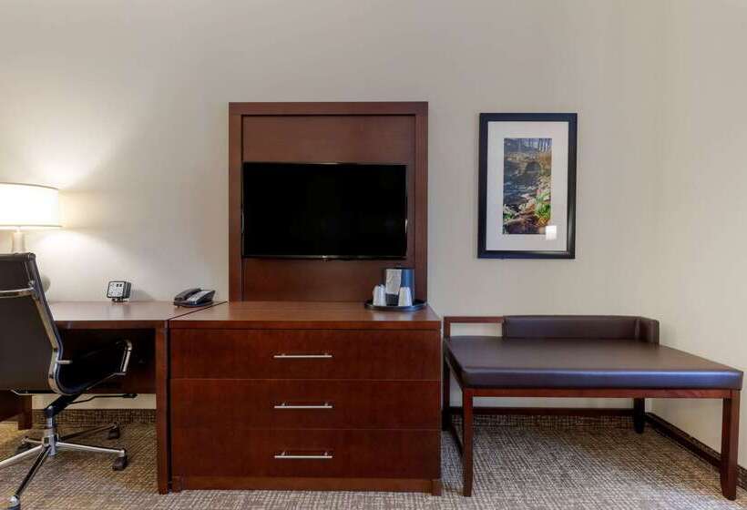فندق Comfort Suites Greenville South