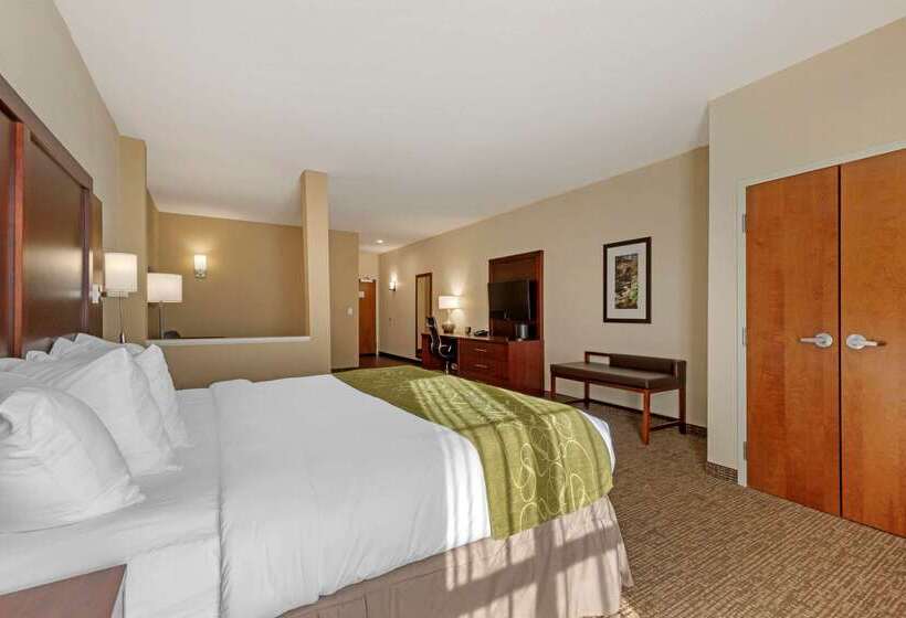 فندق Comfort Suites Greenville South