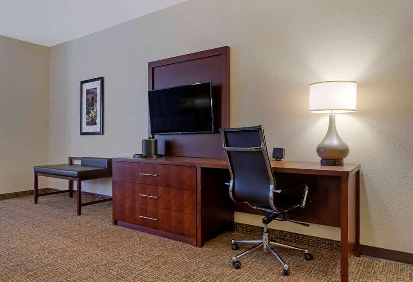 فندق Comfort Suites Greenville South