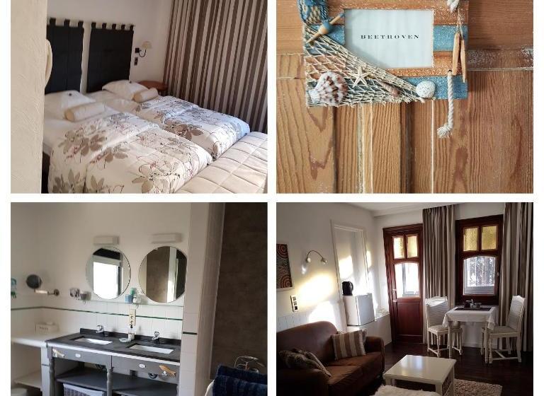 בית מלון כפרי De Gouden Haan