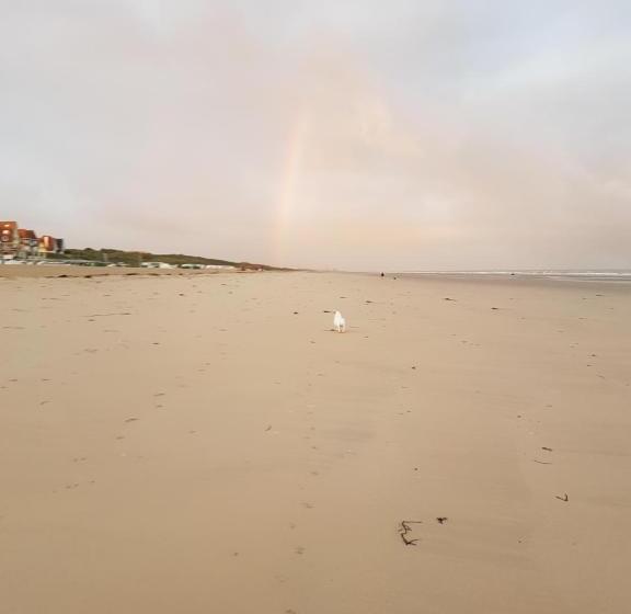 בית מלון כפרי De Gouden Haan