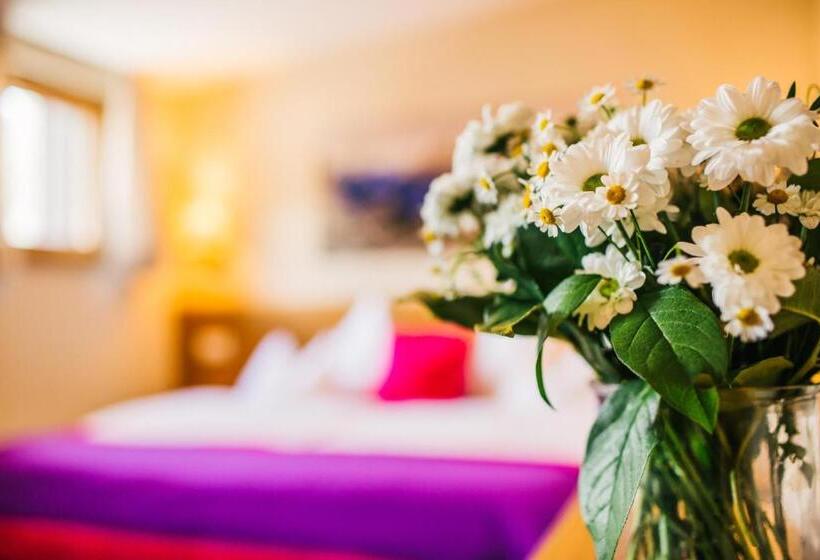 فندق Dr Otto Murr B&b