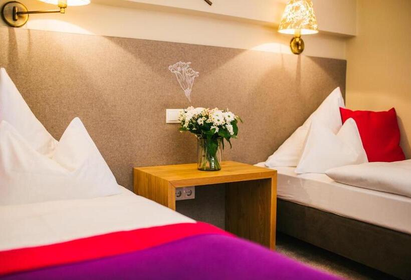 فندق Dr Otto Murr B&b