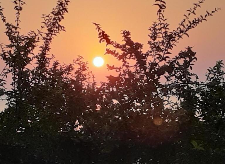 酒店 Habitation Des Lauriers