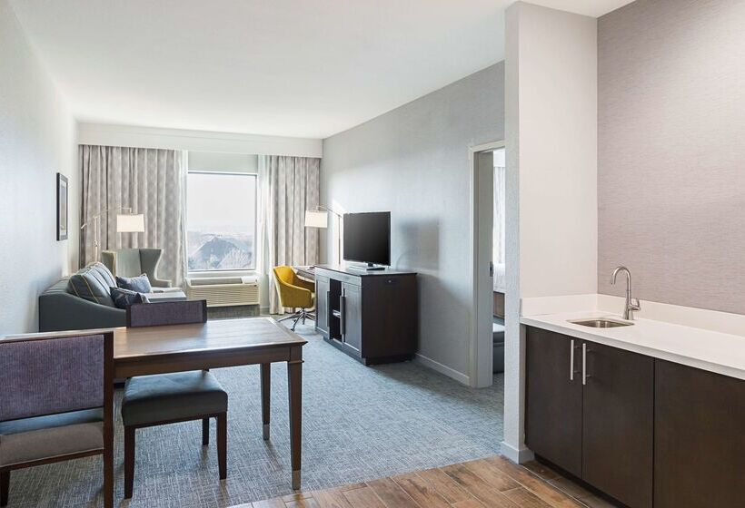 ホテル Hampton Inn & Suites Colleyville Dfw Airport West