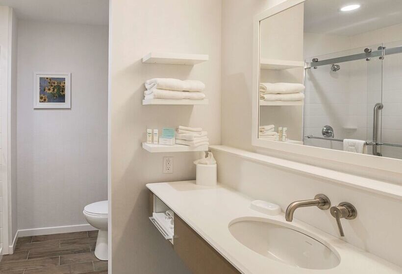 ホテル Hampton Inn & Suites Colleyville Dfw Airport West