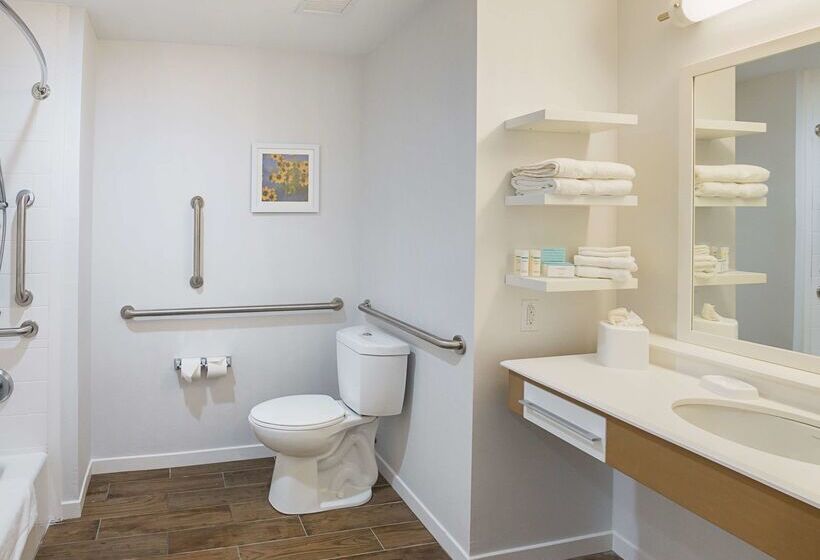 ホテル Hampton Inn & Suites Colleyville Dfw Airport West