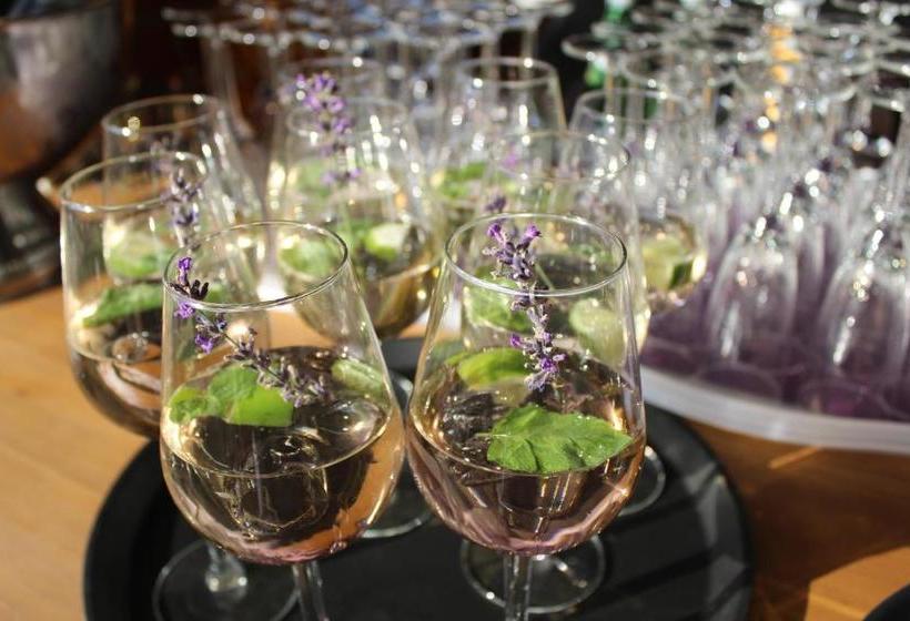 בית מלון כפרי Haus Lavendel