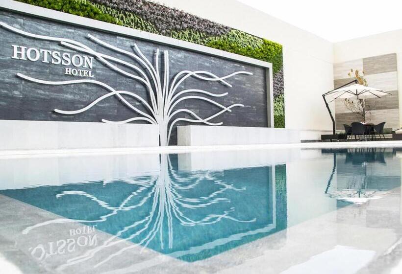 Hs Hotsson Hotel Irapuato