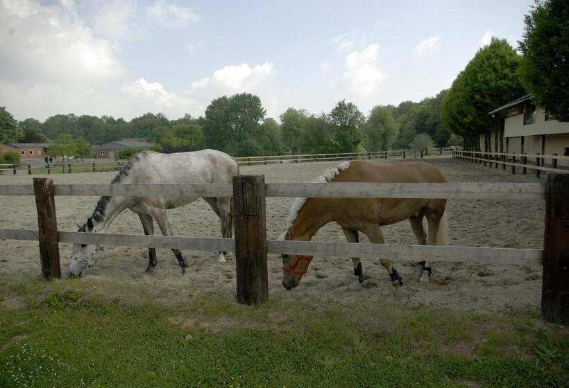 Отель Le Relais De La Haute Sambre