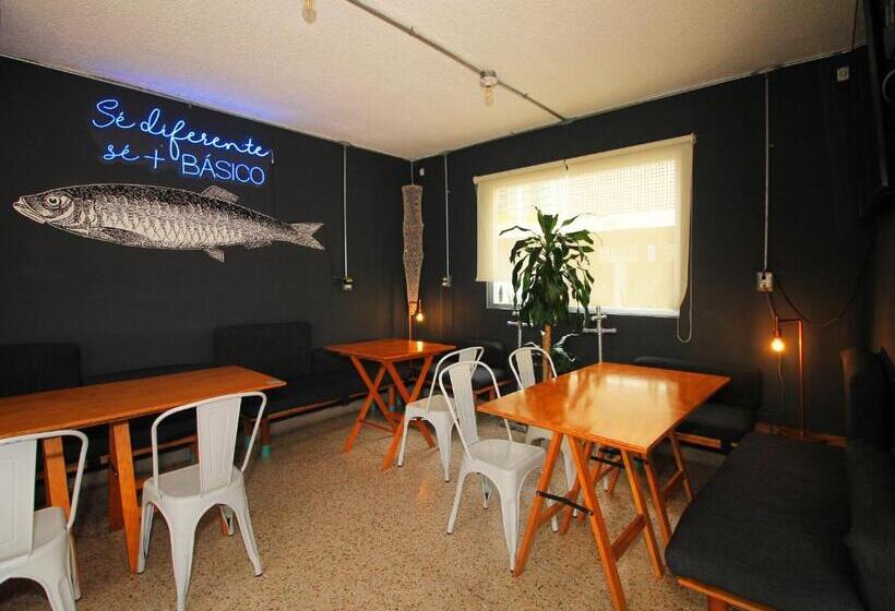 Отель Mas Basico