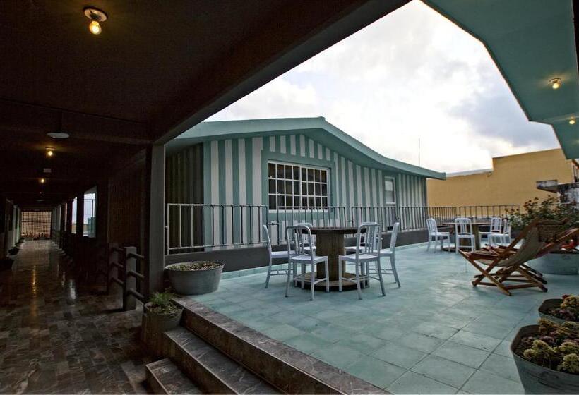 Отель Mas Basico