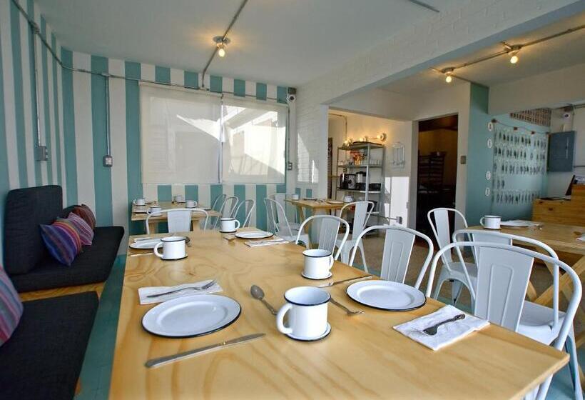 Отель Mas Basico