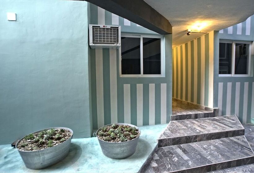 Отель Mas Basico