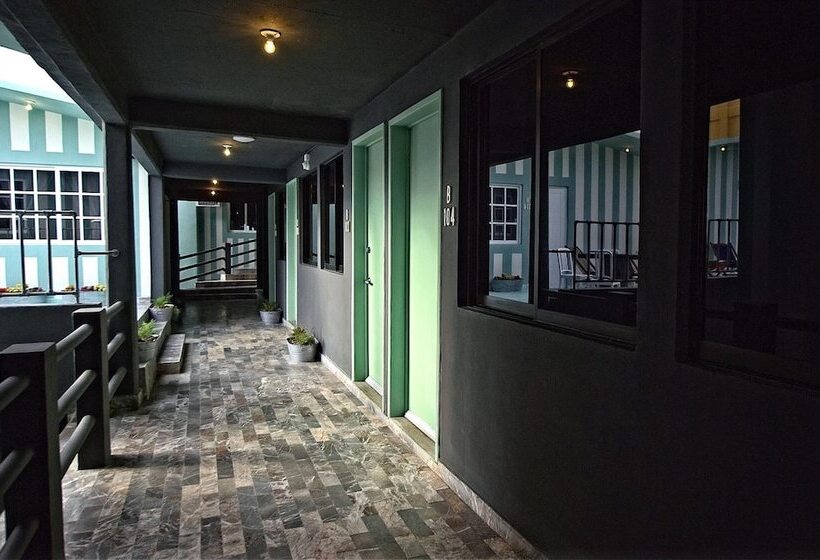 Отель Mas Basico