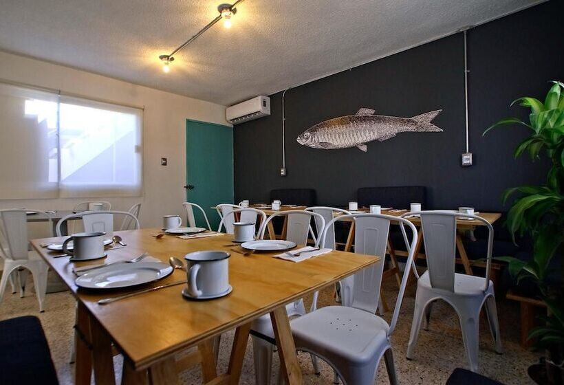 Отель Mas Basico