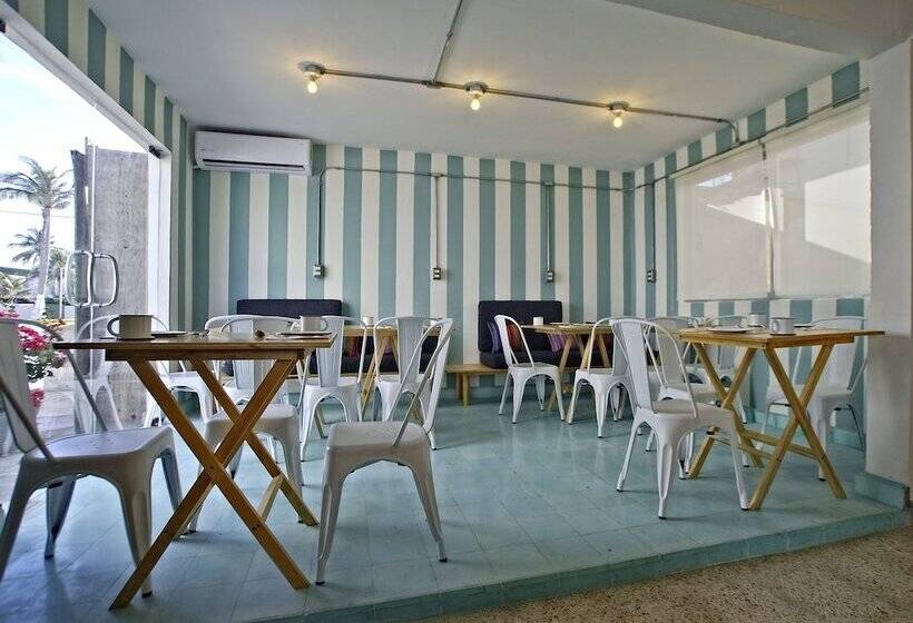 Отель Mas Basico