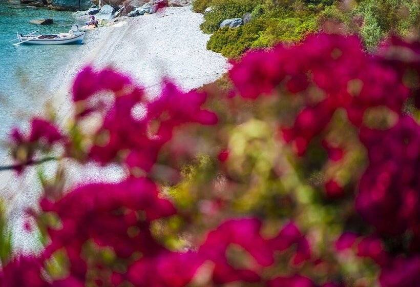 هتل Miradouro Seafront Residences